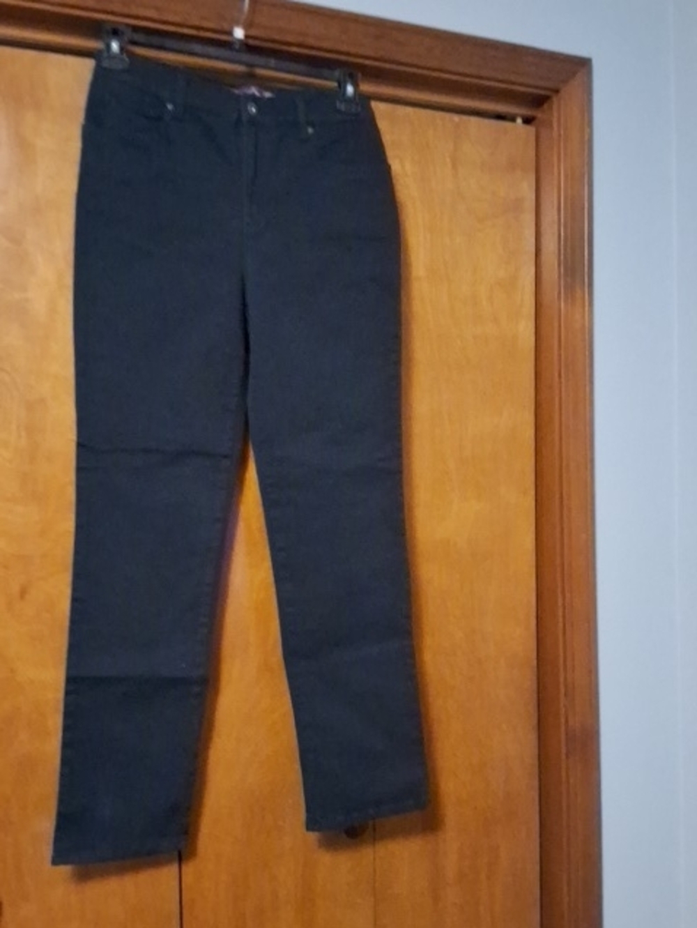 Gloria Vanderbilt Women's Slim Straight Jeans in Dark Green Pants